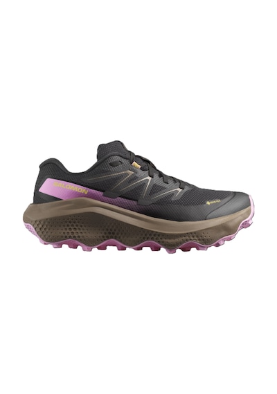 Salomon Ultra Flow 2 Gtx Kadın Ayakkabısı L47884400 Çok Renkli