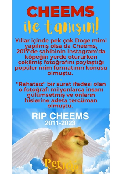 Petjoo 18.Cheems Sarı-Kırmızı Qr'lı Köpek Künyesi