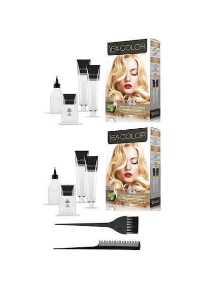 Sea Color Set Boya 10.0 Sedef Sarı 2 Adet+Boya Tarağı+Fırça 10.0 Sedef Sarı