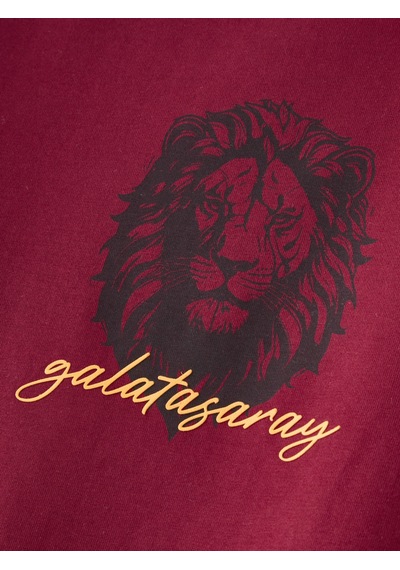 Gsstore Galatasaray Erkek T-shirt E261086 Bordo
