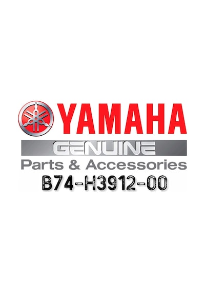 Yamaha Xmax 250 / 300 2018 Sol Fren Maneti