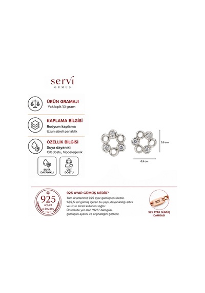Servi 925 Ayar Gümüş Minimal Halka Çiçek Küpe-521