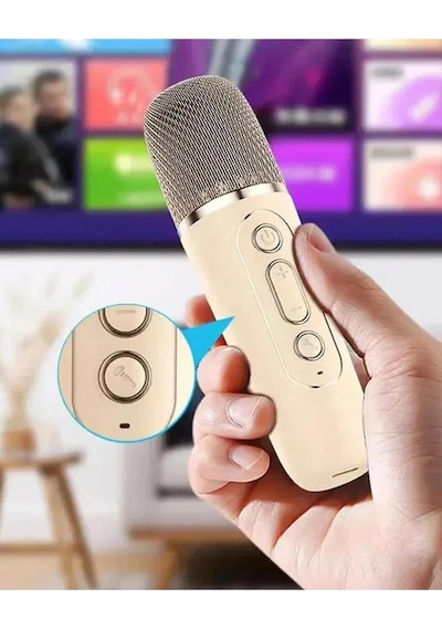 Mini Kablosuz Bluetooth Karaoke Hoparlör Kareoke Makinesi Çocuklar İçin Evde Karaoke Seti Pemb
