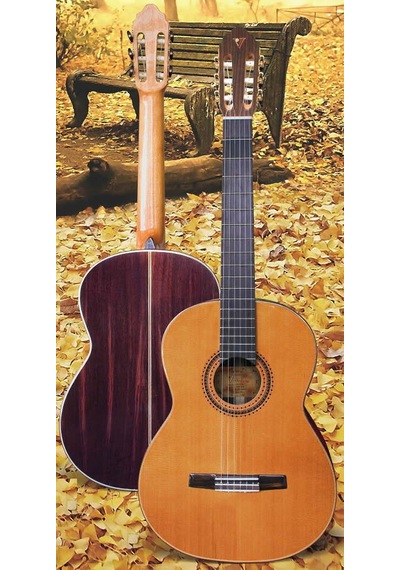 Valencia Custom Cgltd5 Klasik Gitar
