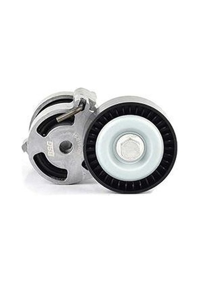 V Kayıs Gergısı Komple Bmw E81-82-87-88-90-91-60-x1 E84-46 N40-42-43-46-46 03-10 Bsg 15615008 11287524267