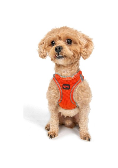 Tailpetz Air-mesh Küçük Ve Orta Irk Kedi Köpek Göğüs Tasması - Yumuşak, Nefes Alabilir, Dayanıklı Neon-turuncu, 3xs Sku: Zeusb0829d7dr7 Açık Bej - Bej