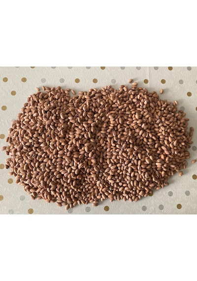 Siirt Fıstığı Kavrulmuş 1 KG