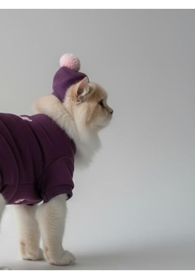 Purple Ponpon Pony Kedi Tulumu & Bere Takımı Şardonlu Polar Kumaş Tüy Dökülmesini Mor 2XL