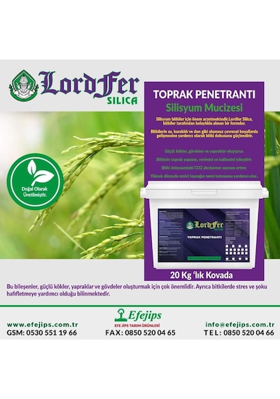 Lordfer Silica Silisyum 20 KG