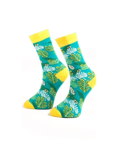 Ozzy Socks Lime Desenli Çorap Çok Renkli