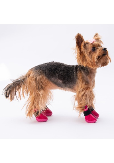 Pawstar Fuşya Köpek Ayakkabısı