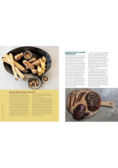 Christopher Hobbs's Medicinal Mushrooms: The Essential Guide: Boost Immunity, Improve Memory, Fight Cancer, Stop Infection, And Expand Your Consciousness