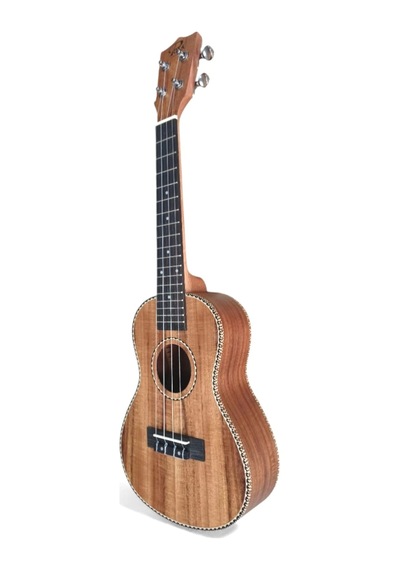 Puka Pk102c Consert Ukulele Konsert Kılıf Dahil