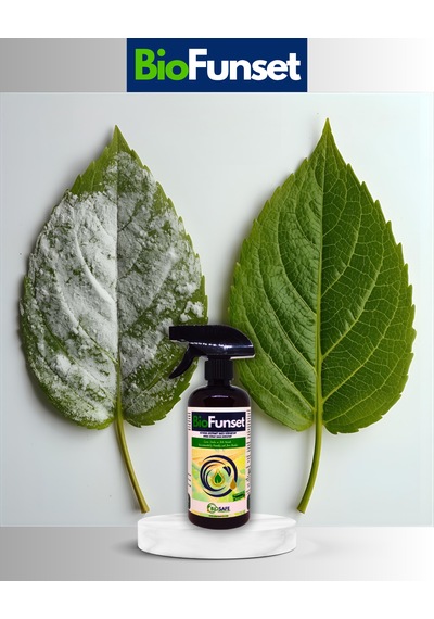 BioFunset 500 ml – Ev ve Süs Bitkilerinde Görülen Mildiyö, Külleme ve Küfleşmeye Yönelik Doğal Bakım Ürünü