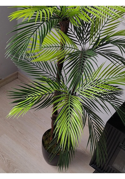 Lüks Palmiye Ağacı Salon İçin Yapay Ağaç 150 Cm 3 Gövde 27 Yaprak Siyah Parlak Saksıda