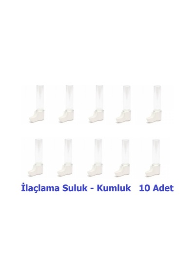 Suluğu - Kumluk 10 Adet