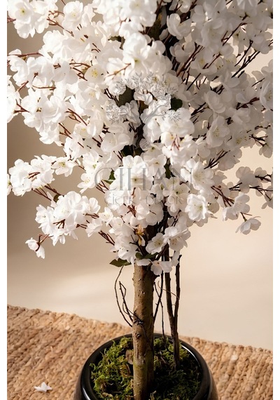 Cihan Çiçekçilik Yapay Beyaz Bahar Dalı Ağacı 140cm- 27x33 Cm Küre Saksılı Siyah