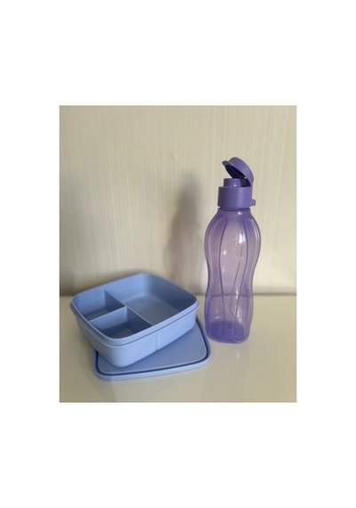 Tupperware 500 Ml Suluk Ve Bölmeli Beslenme. Mor
