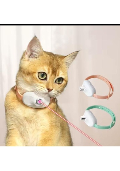 Madpet Lazerli Boyun Tasması Mad-363