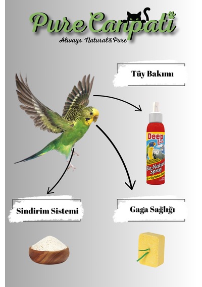 Purecanpati Tüy Bakım Multivitamin Ve Kuş Kumu Seti