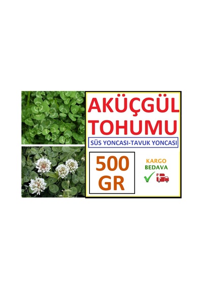 Üçgül Tohumu 500 GR Ak Üçgül Tohumu Aküçgül Tohumu Süs Yoncası