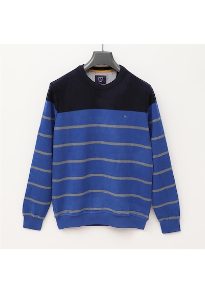 Dio Rise Erkek Uzun Kol İnce Sweatshirt - Czt-109 - Saks Saks