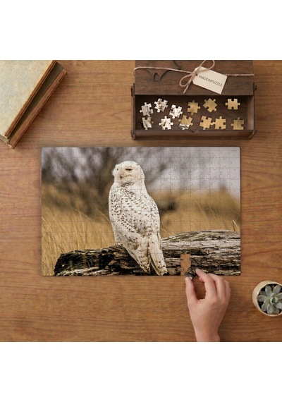 Ağaç Dalının Üstünde Kar Baykuşu Tasarımı 240 Parça Ahşap Puzzle Ahşap Kutuda Mpy60230