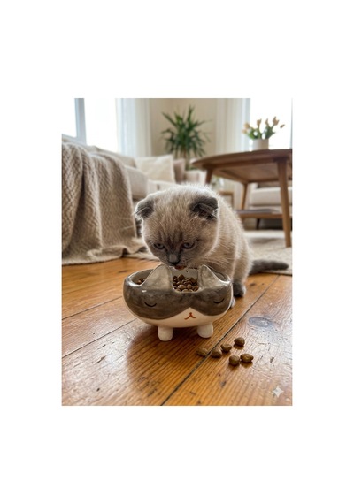 Kulaklı Tavşan Model Seramik El Yapımı Kedi Mama Kabı