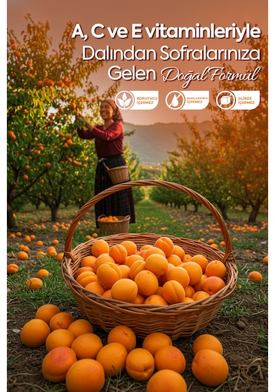 Zühre Ana Kayısı Özü 640 G
