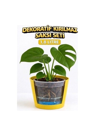 Hüskon Ticaret 4 Adet Dekoratif Dış + 4 Adet Şeffaf Iç Saksı Akıllı Saksı Seti 1,8 Litre