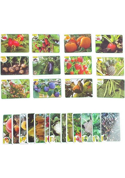 İlk 50 Meyve Ve Sebze Zeka Kartları Eğitici Kartlar Flash Card