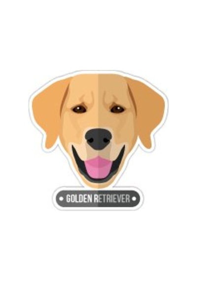 Bay Etiket Andg16 Golden Retriever Kopek Sticker