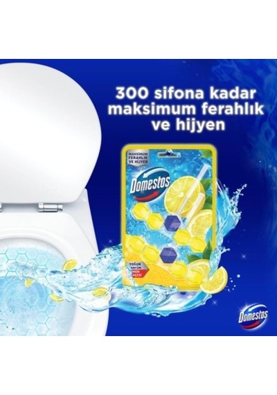 Yoğun Parfümlü Limon Bahçesi İle Wc Blok Ürünü