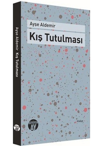 Kış Tutulması - Ayşe Aldemir - Büyüyenay Yayınları