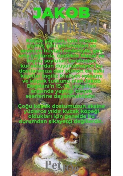 Petjoo 8.Jakob Gri-Yeşil Qr'lı Köpek Künyesi