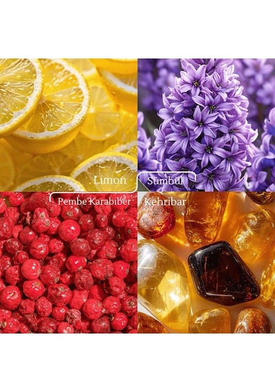 Luxury Prestige Grasse Ambre Harmonique Kadın Parfüm 100ml Edp Aromatik