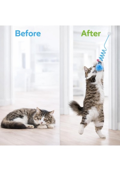 Yaylı Kedi Oyuncağı Tekli İnteraktif Toplu Kedi Oyuncağı Her Yere Asılabilir Asorti Renk Gönderim