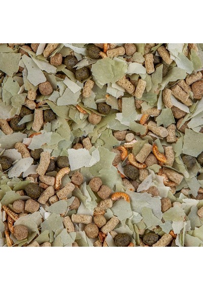 Sera Pond Mix Royal 10 Litre Japon Balığı Karışık Yem 2000 Gr