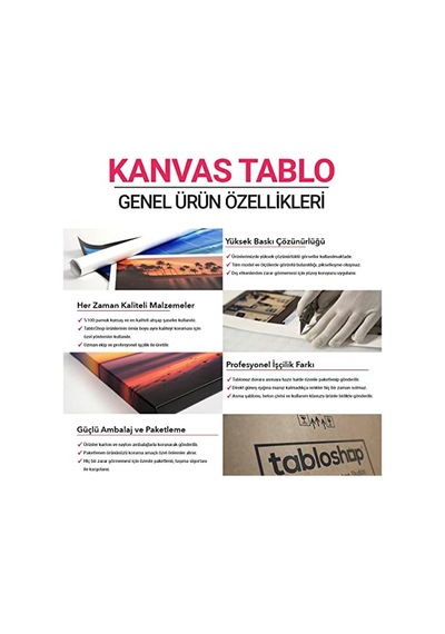 Galata Manzara Tablosu 50 X 50