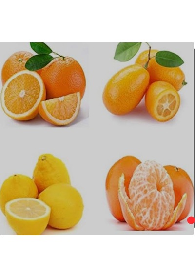 Tüplü Aşılı Narenciye Paketi Limon Portakal Kamkat Mandalina