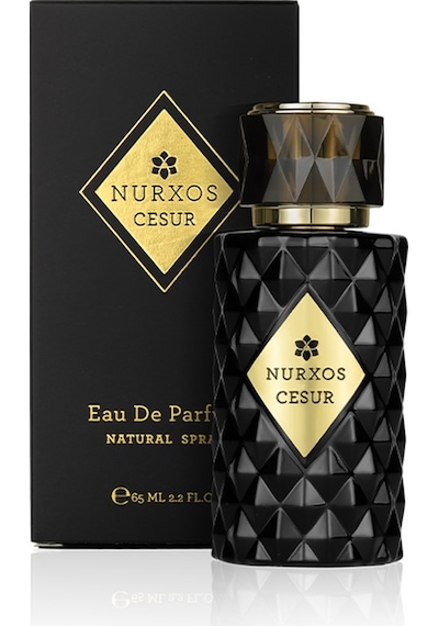 Nurxos 9788 Cesur Erkek Parfümü 8681124697882 65 ML