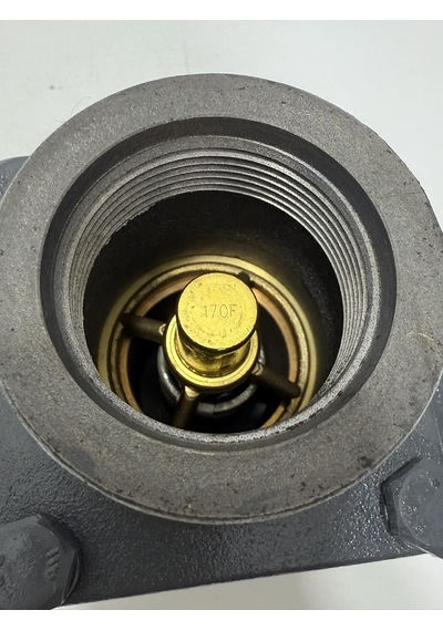 An40b1-170 Termostatik Valf 170f 50775024-003