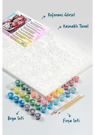 Sayılarla Boyama Seti 40 x 50 CM Tuval Şasesine Gerili Çiçekli Kadın