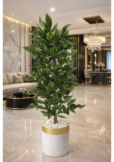 Ceviz Ağacı 150 Cm Beyaz Gold Metal Saksı Dahıldır Yeşil