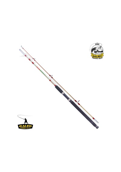 İki Parça Dolgu Olta Kamışı - Crystal - 120 Cm 100/250 Gr - Bauer