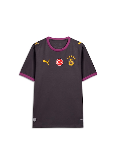 Puma Galatasaray 26/27 Erkek Deplasman Forması 785013 05 Gri