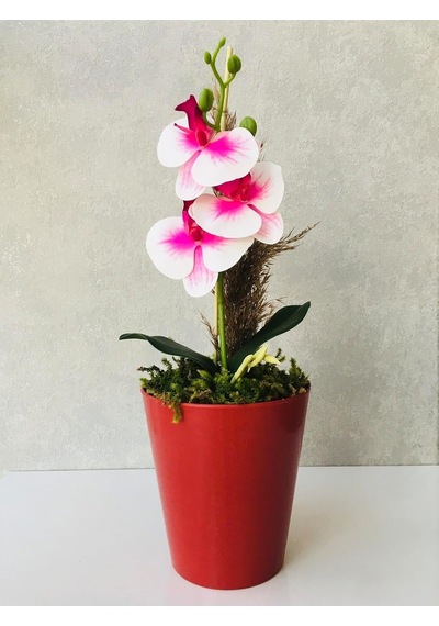 Tr Orkide Yapay Çiçek, 38 Cm, Pembe-beyaz, Saksıda Diğer