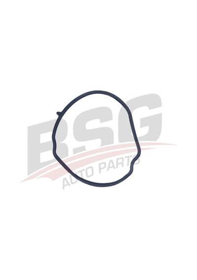 Bsg Motor Yag Kapak Contası Lastık - Doblo Iıı Egea Lınea Bravo Iı Alfa Gıulıetta Combo D 07-