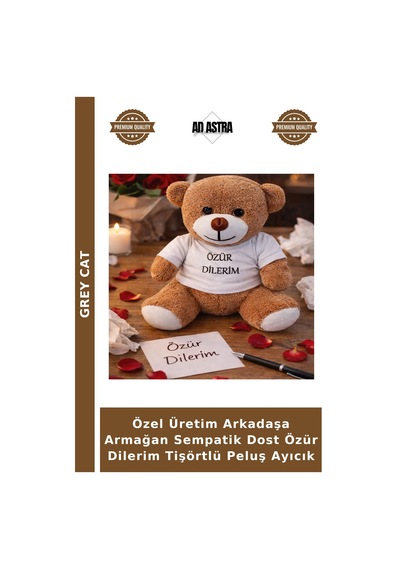 Özel Üretim Arkadaşa Armağan Sempatik Dost Özür Dilerim Tişörtlü Peluş Ayıcık Çok Renkli