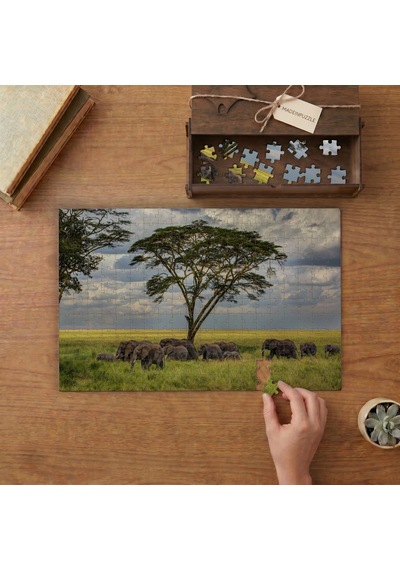 Afrikada Fil Sürüsü Tasarımı 240 Parça Ahşap Puzzle Ahşap Kutuda Mpy40463